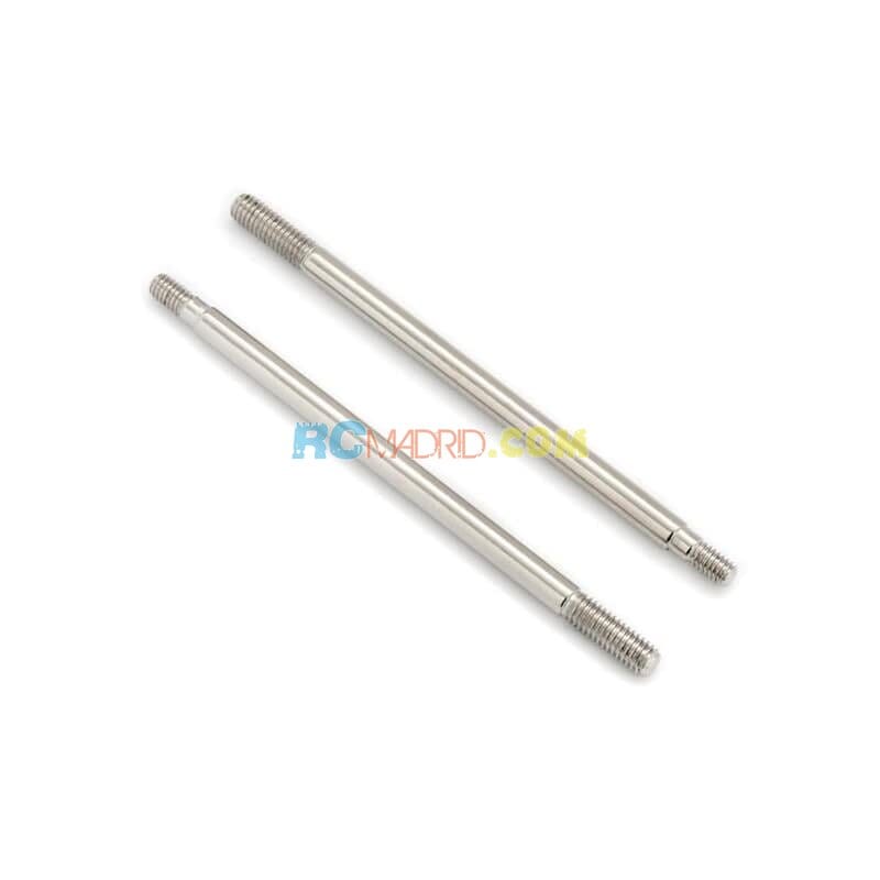 Conjunto Bastagos Amortiguador (2)