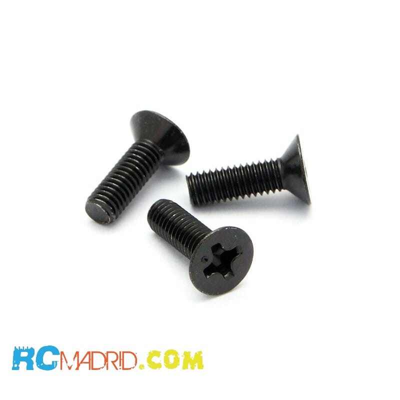 Flat Head Screw M3x10mm (6pcs)