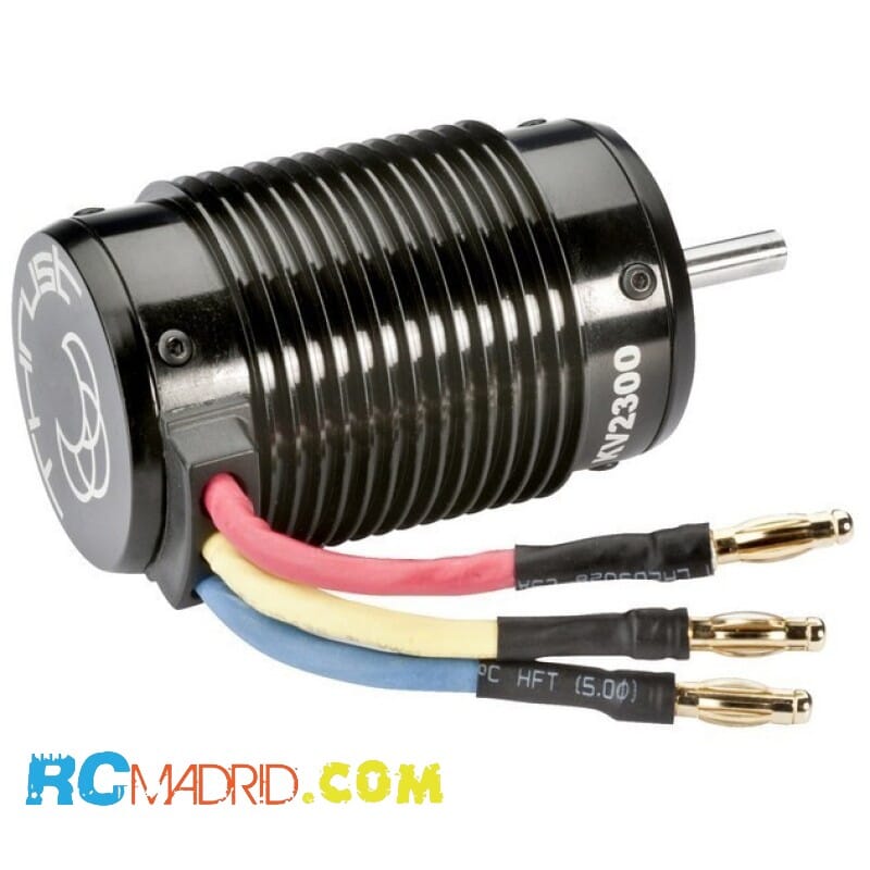 "Brushless Motor 1:8...