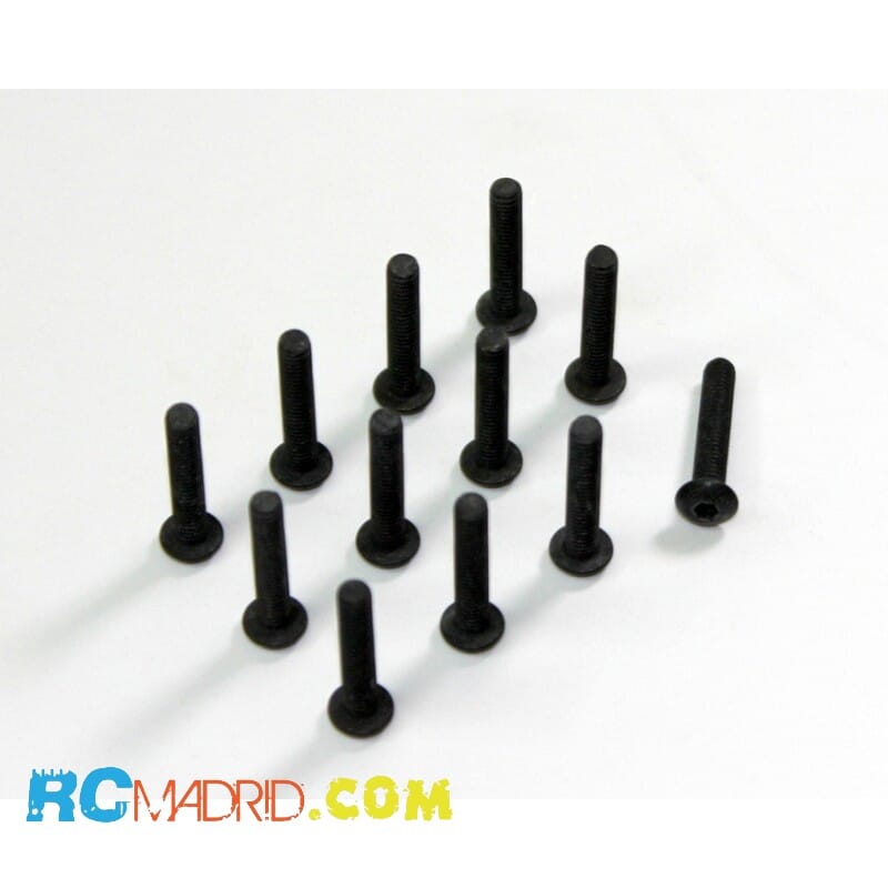 Allen Head Screw HM4x22...