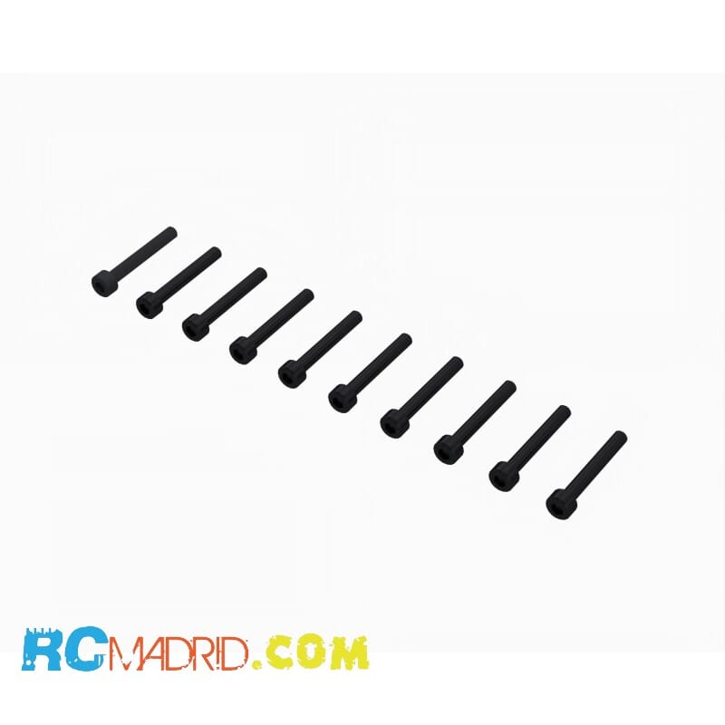 Cap Head Screw M3x22mm (10)