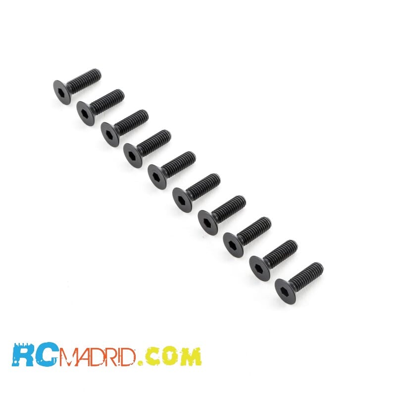 Flat Head Screws M6x20mm (10)