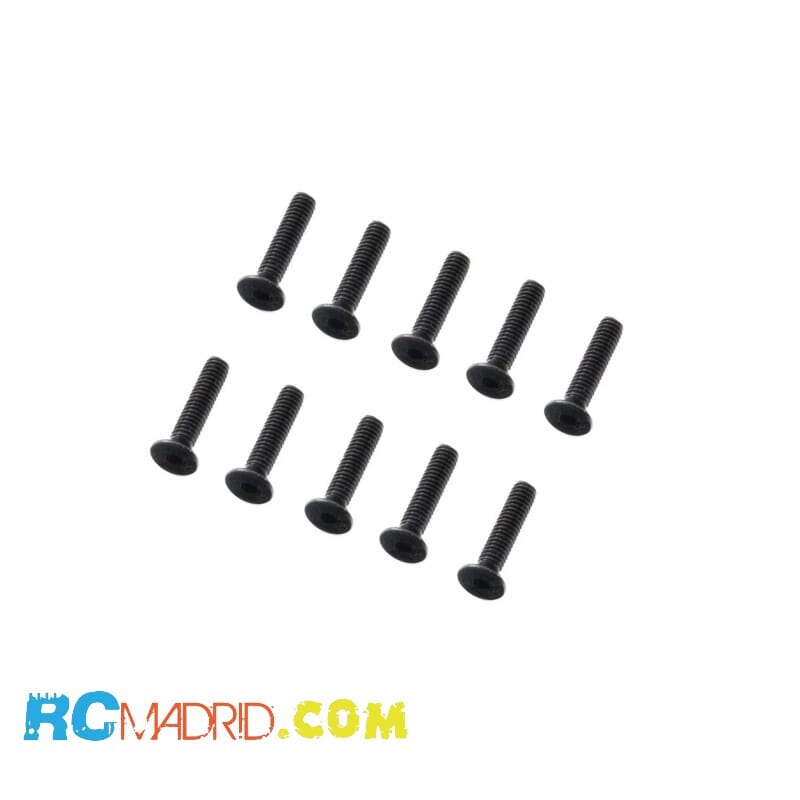 M2 x 12mm Flat Head Screw (10)
